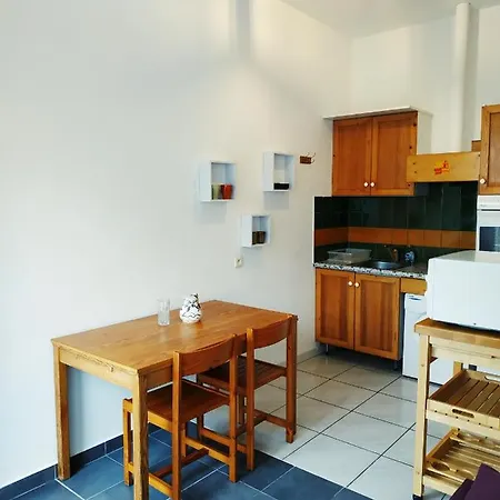 アパート Chez Leslie Et Vincent : Climatises Avec Parking Privatif ペルピニャン