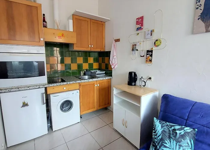 Appartement Chez Leslie Et Vincent : Climatises Avec Parking Privatif *