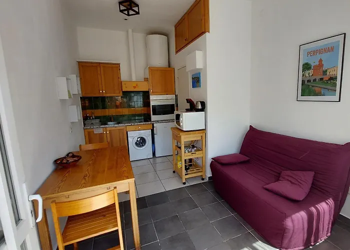 Chez Leslie Et Vincent : Climatises Avec Parking Privatif Perpignan